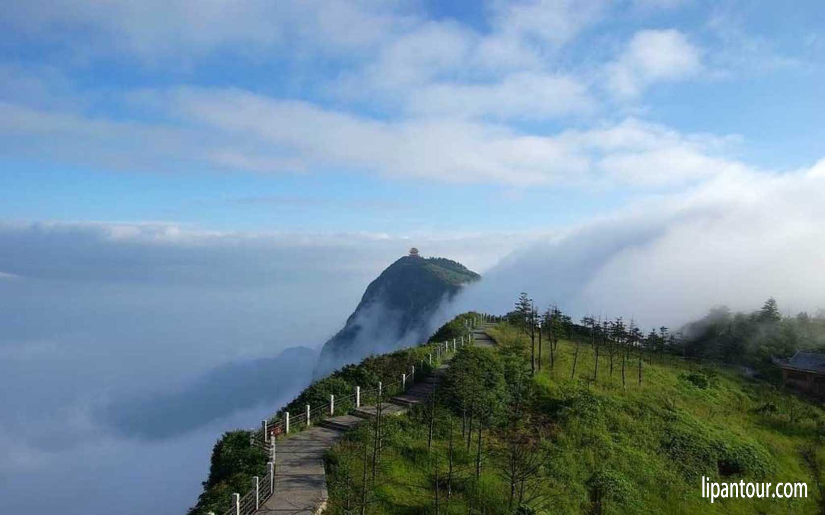 《九美全景》成都 九寨溝 黃龍 樂山 峨眉山8日游