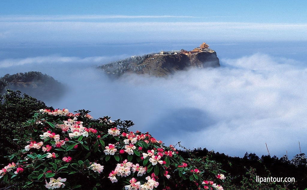 歡行全景-成都 九寨溝 尕里臺草原 峨眉山10日游