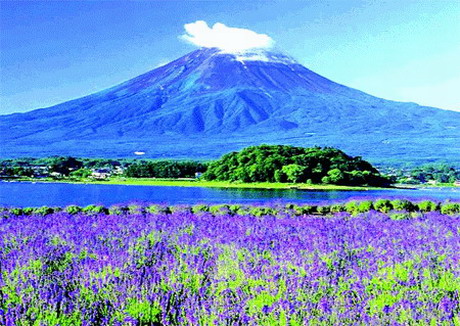 國(guó)航直飛日本本州經(jīng)典6日游_雙古都金閣寺+富士山_溫泉酒店