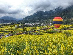 北青旅手把手教您婺源油菜花拍攝技巧